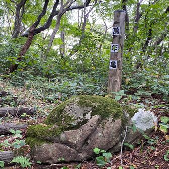 確かに🤔海亀に似た岩です　
(この形を覚えておいてください)