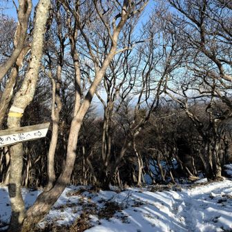 きのこ岩分岐。今日はちゃんと行きます