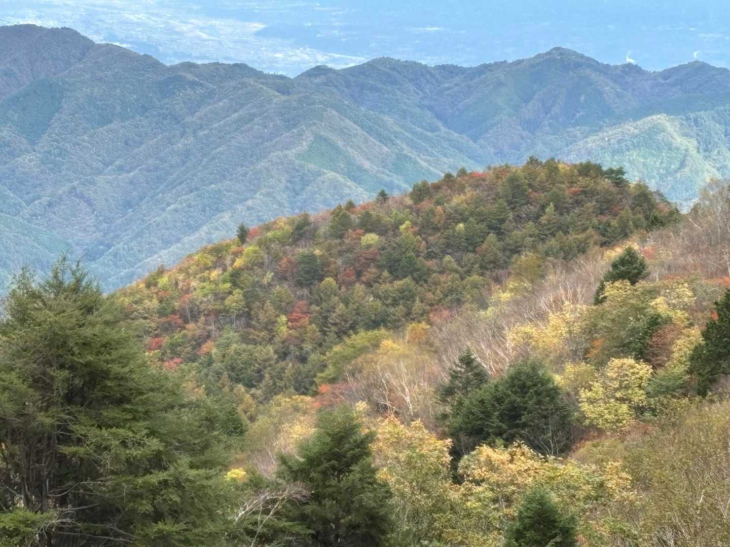 紅葉のお山🍁🍂
