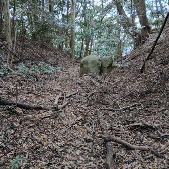 堀切かな😳夫婦石のような🪨