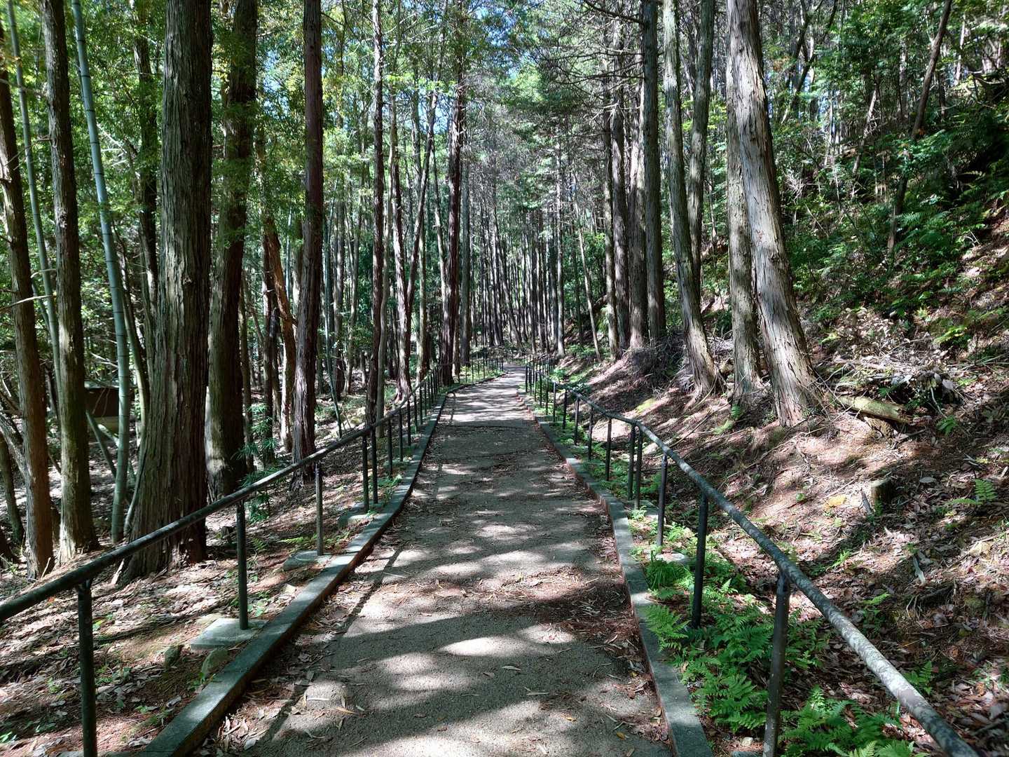 登山口