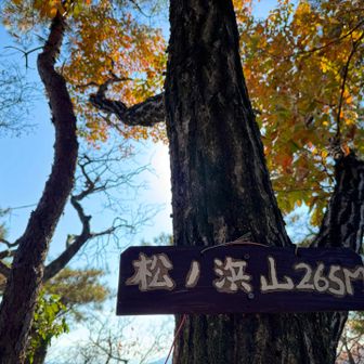 17.松ノ浜山
通行止めのルートでしたが、通して頂きました