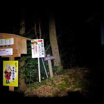 ではスタート❗️