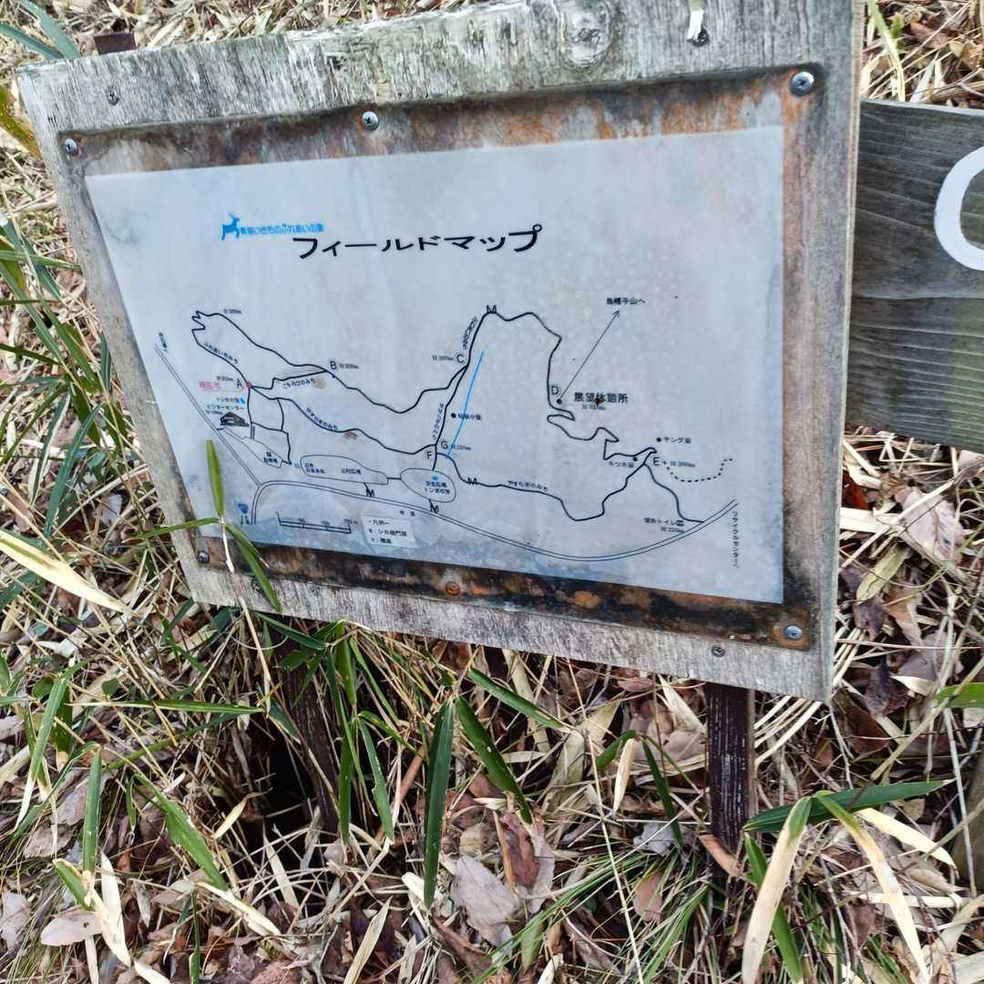フィールドマップ。
さて、どう回って烏帽子山に向かいましょうか？
