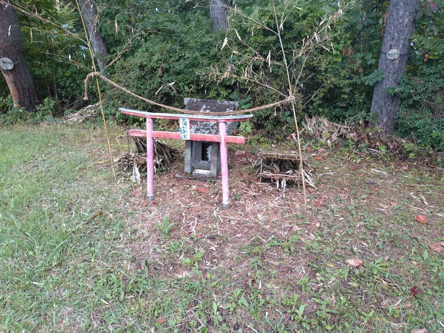 骨がもろいのが81歳