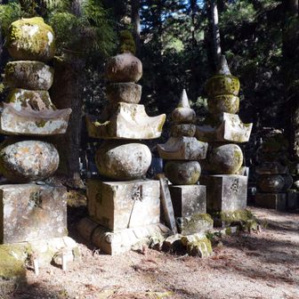 「柴田修理勝家墓」と書かれた白木の標柱と、苔むした五輪塔群
今年の大河では、需要な役どころを果たす人物である
但し、この五輪塔に刻まれた名前からは、柴田勝家を示すものは確認出来ない
高野山御陵内に柴田勝家の墓は有るらしい(絵図面有り)が、何処に有るか分からない