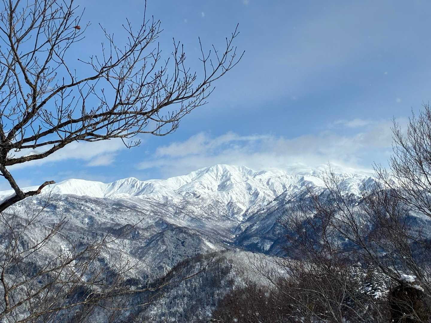 キレイに見えます🏔️✨