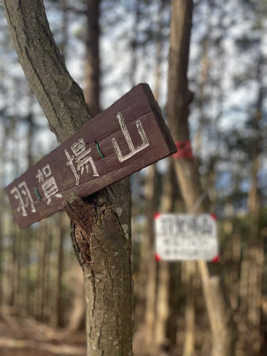 羽賀場山の写真