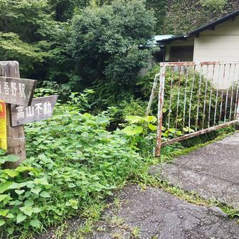 橋を渡るとすぐに激坂