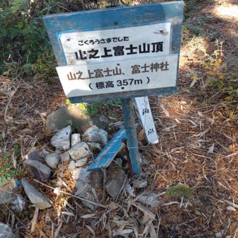 これまた控えめ