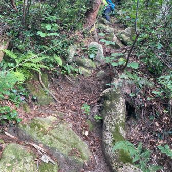 夏場の冬道下山は初めてかも