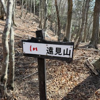 遠見山山頂への分岐