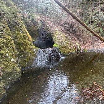 … 増水していて渡れない

その先の階段も
壊れそうで 怖気付きました😱

ゴーゴーと水の音が不気味に感じて
進む勇気が出ません🌀

無理はしないで引き返すことにしました
