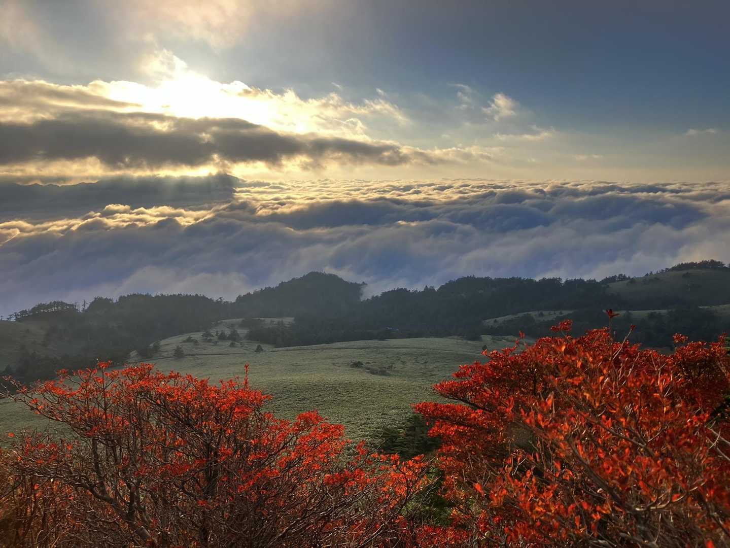 雲に隠れてしまった石鎚山