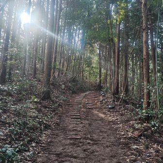 陽の光が嬉しい。