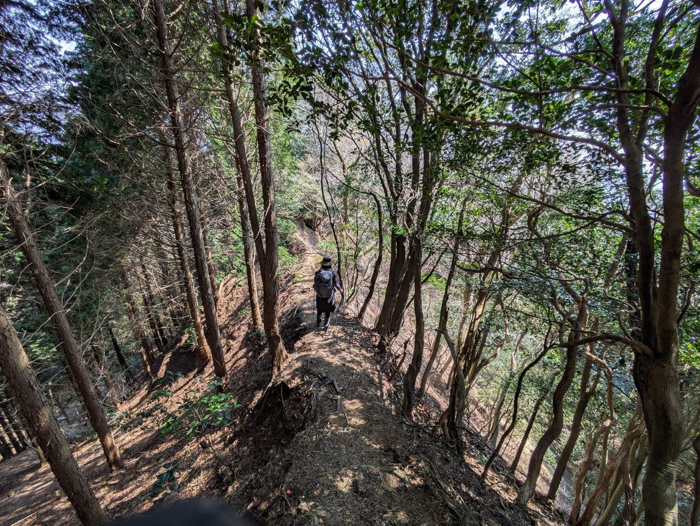 鈴鹿峠-高畑山-溝干山-一里山-長峰 周回コースの写真