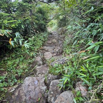 ゴロゴロ岩も