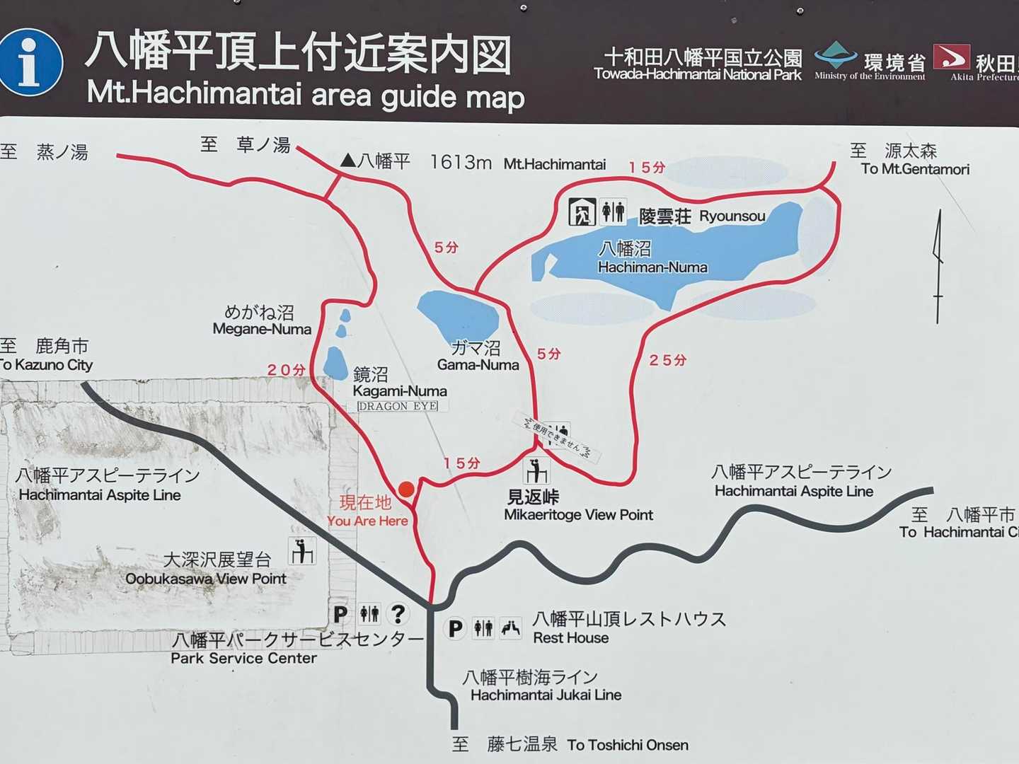 この時間からの周回、最高🤩