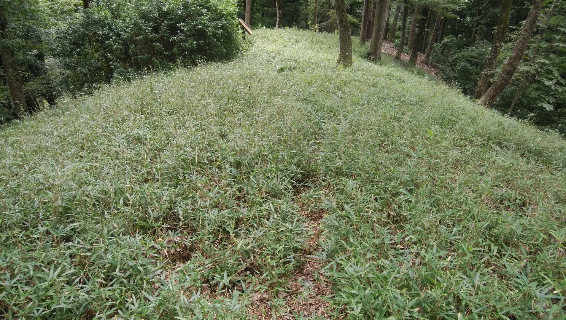 東屋-室尾山-男山 往復コースの写真