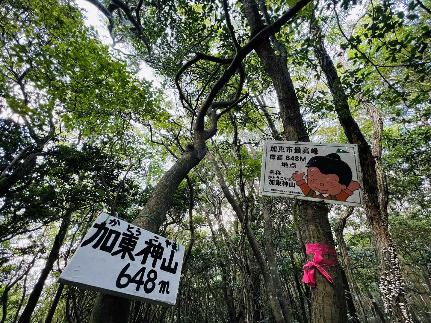 加東神山⛰
加東市最高峰GET🙌😆✨
展望はありません😅