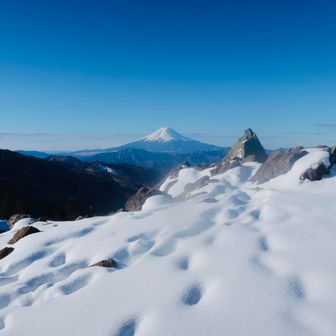 八重歯と呼称する岩