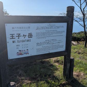標高な名前の由来の看板。百済から８人の王子が住んでいた説😅
ここは「王子ケ岳」