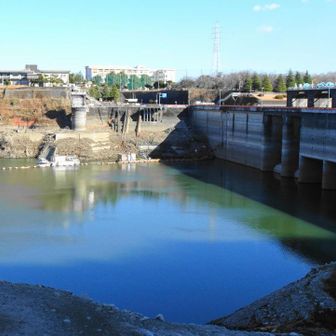 最近は雨が少ないため津久井湖の水位は可成り減っており、岸には流木が堆積しています。
