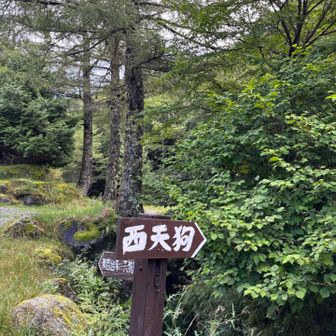 右側のルートを選択