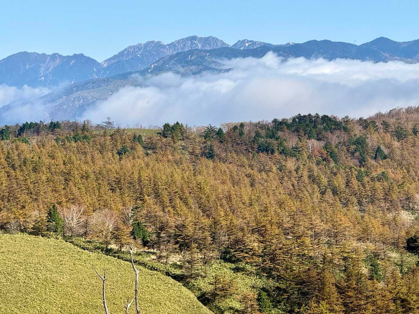 富士見台-湯舟沢山-横川山-南沢山-神坂山 周回コースの写真