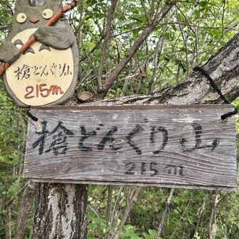 トトロ🩷