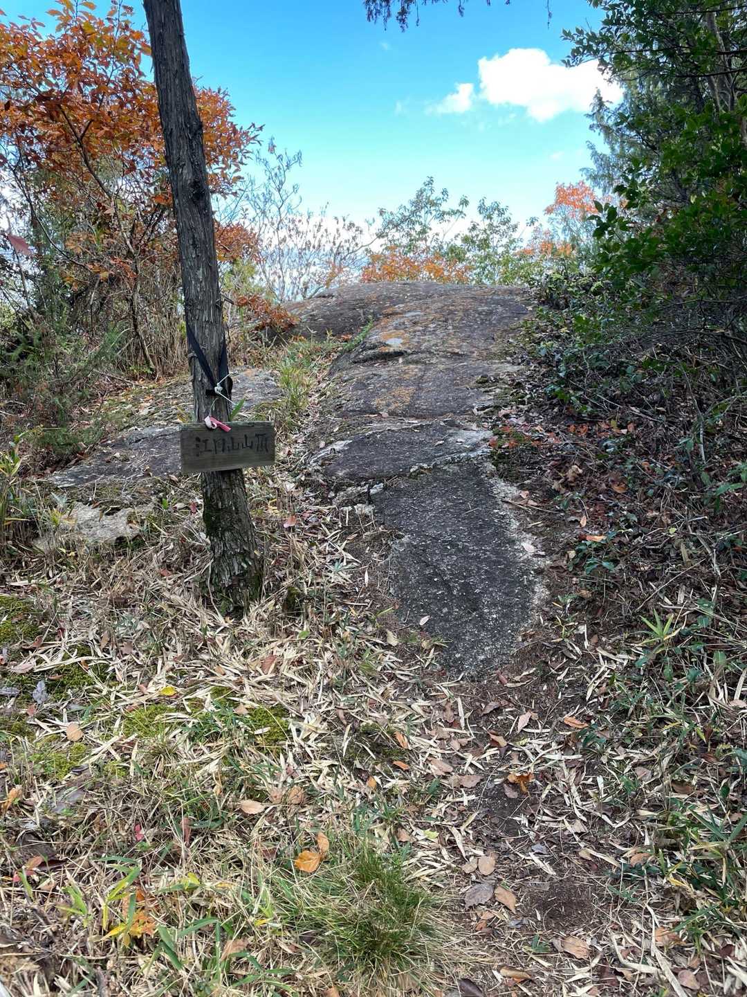 江田山山頂も岩🪨
