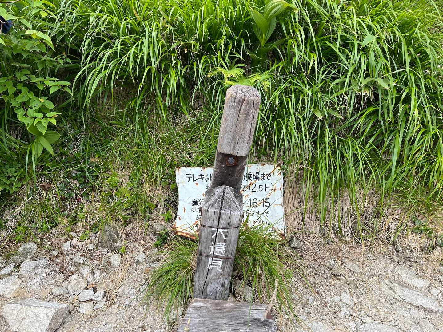 大遠見