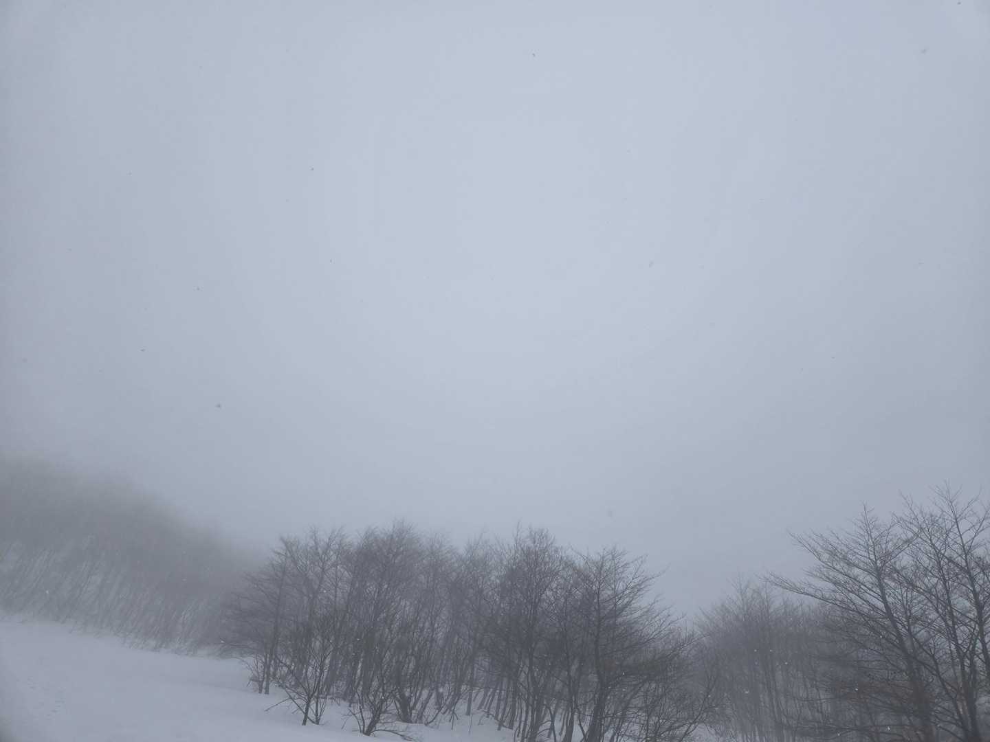 行者登山口 往復コースの写真