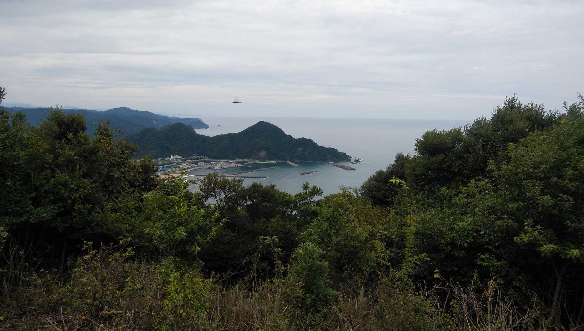浜坂漁港、  赤とんぼ 見えますか？ 探して見て下さい。