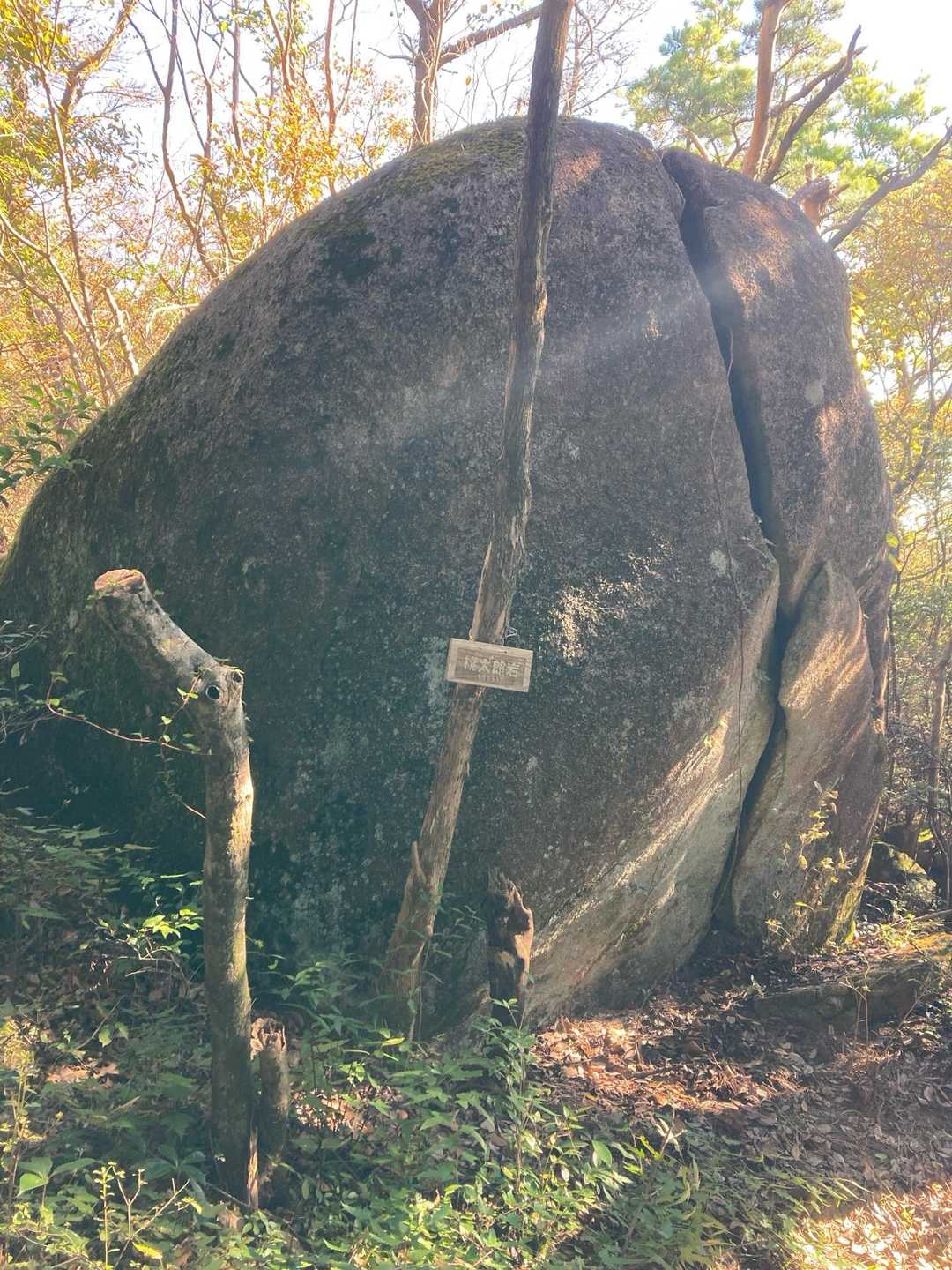 作礼山登山口-作礼山 往復コースの写真