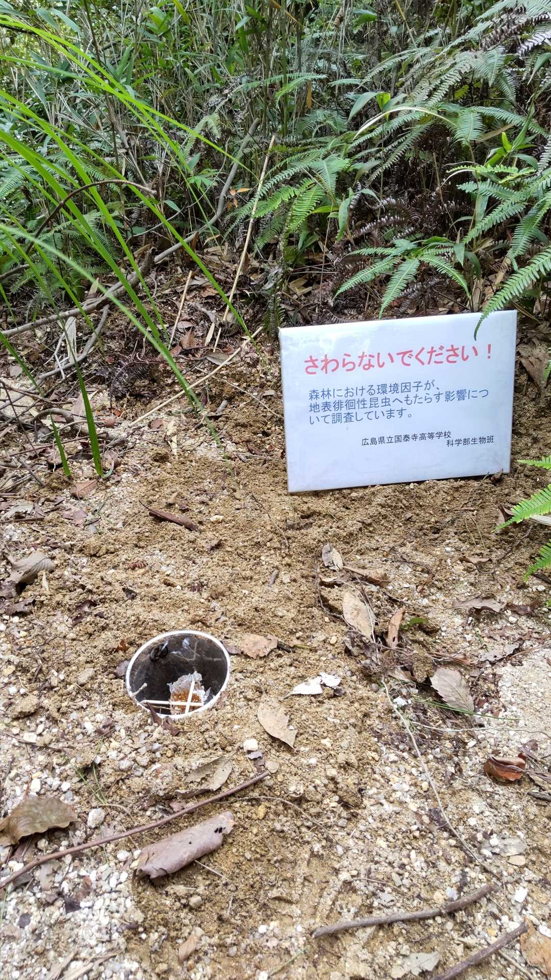 今日はこんな調査が至るところに…
高校生すごいね🐜
