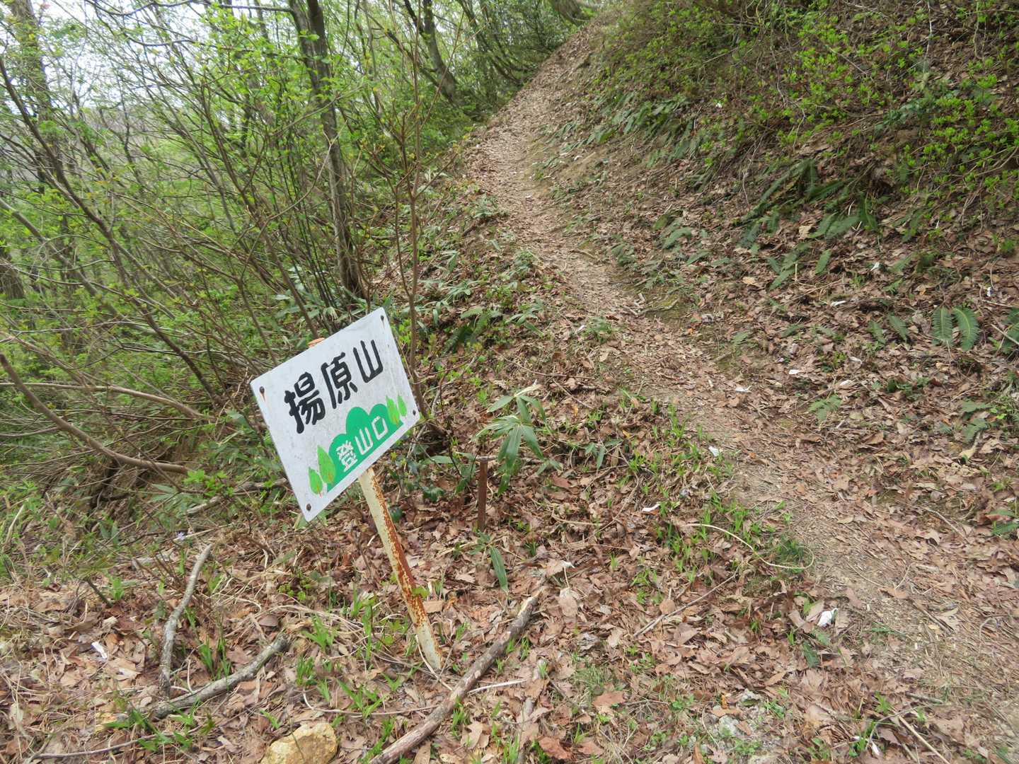 ココから登ります💨