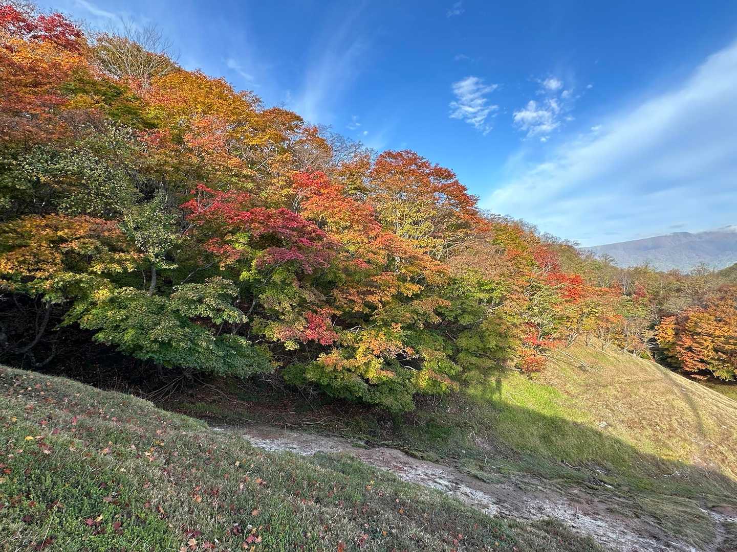 ポンポン山登山口-ポンポン山 往復コースの写真