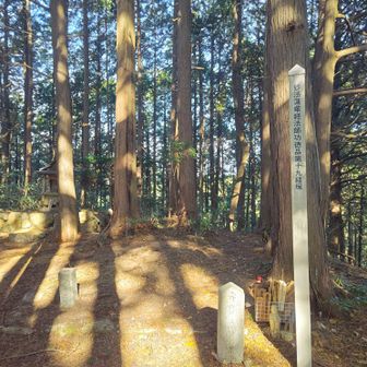 ダイトレ合流後は金剛山方面へ行き、第19経塚へ。ここはわりとお手軽。