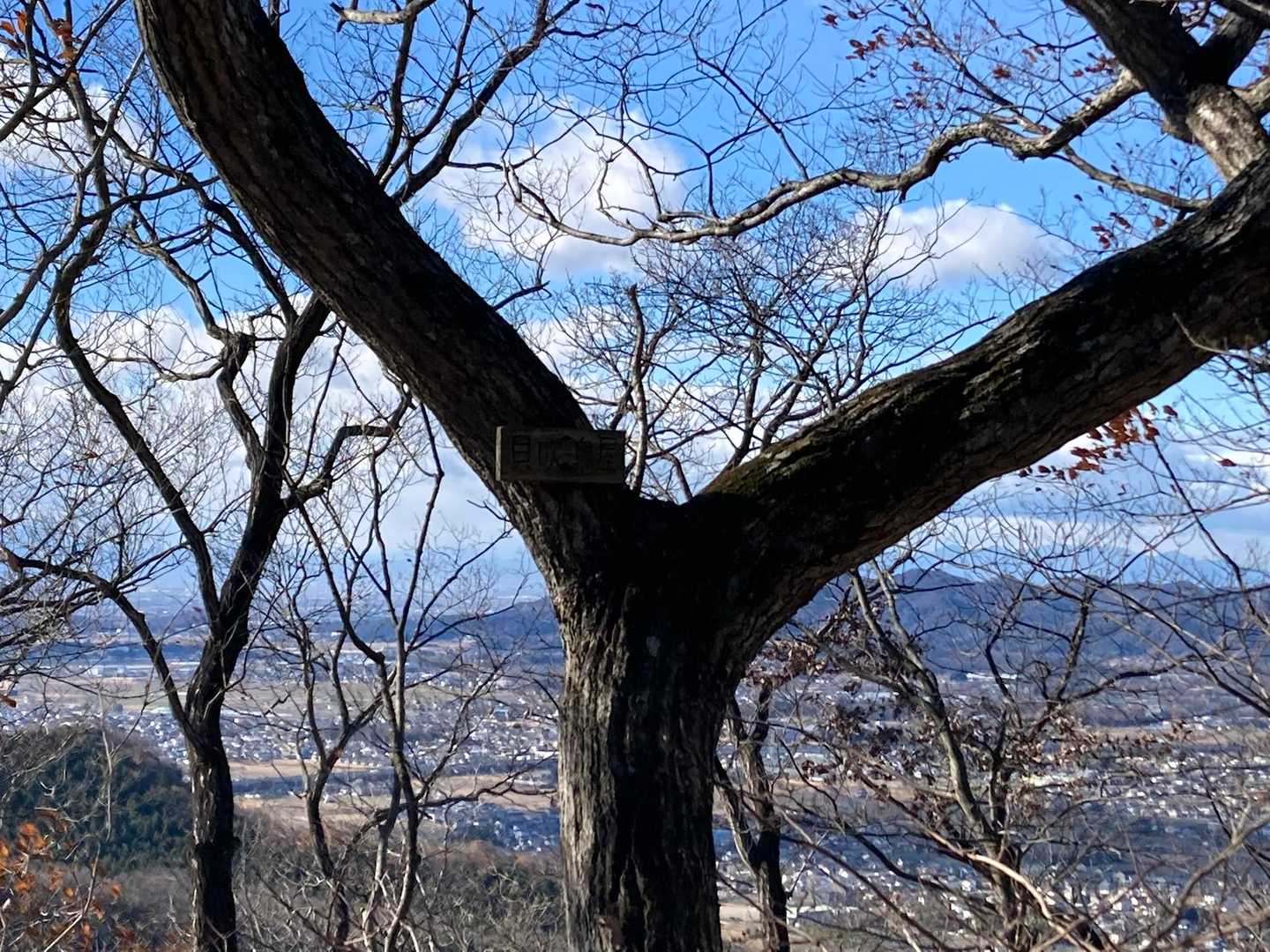 貝吹鳥屋_Peak6
山銘板　なかなか見つからなかった〜😥