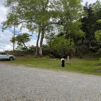 駐車場に下山。ここから後半戦であり本日の目的地になります。下山した反対側の登山口からまた山に入ります。