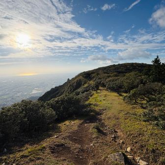 伊勢湾が見えますな。