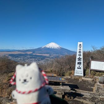 みや