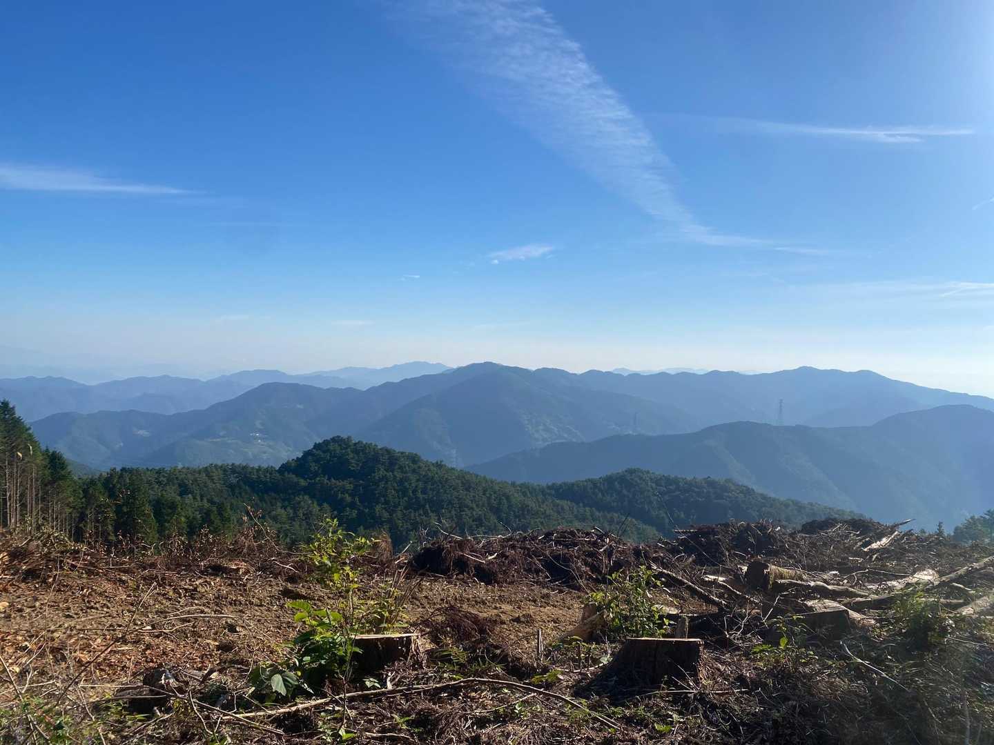 竜王山-竜王山 往復コースの写真