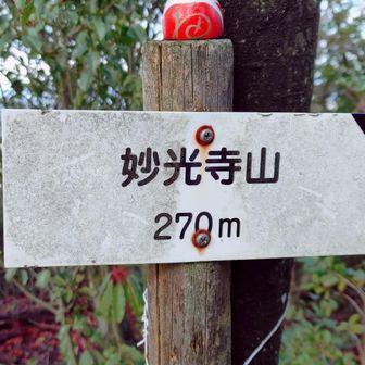 妙光寺山　ダルマの人形がありますね🤭