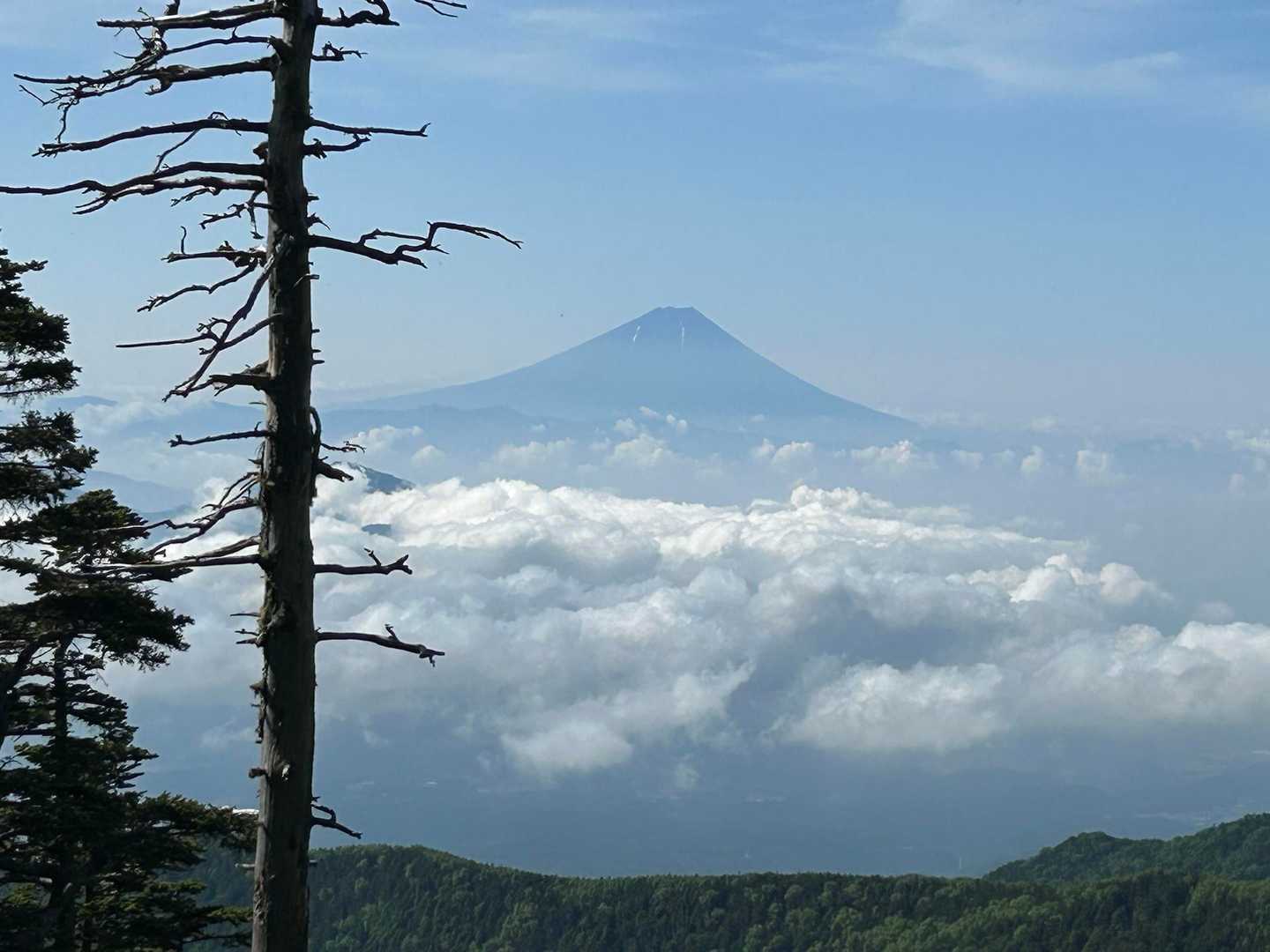 富士山〽️