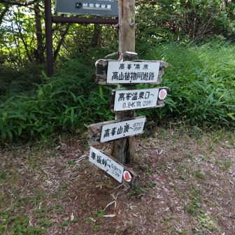 池ノ平湿原から林道歩いて高峰山の登山道を登り返す。