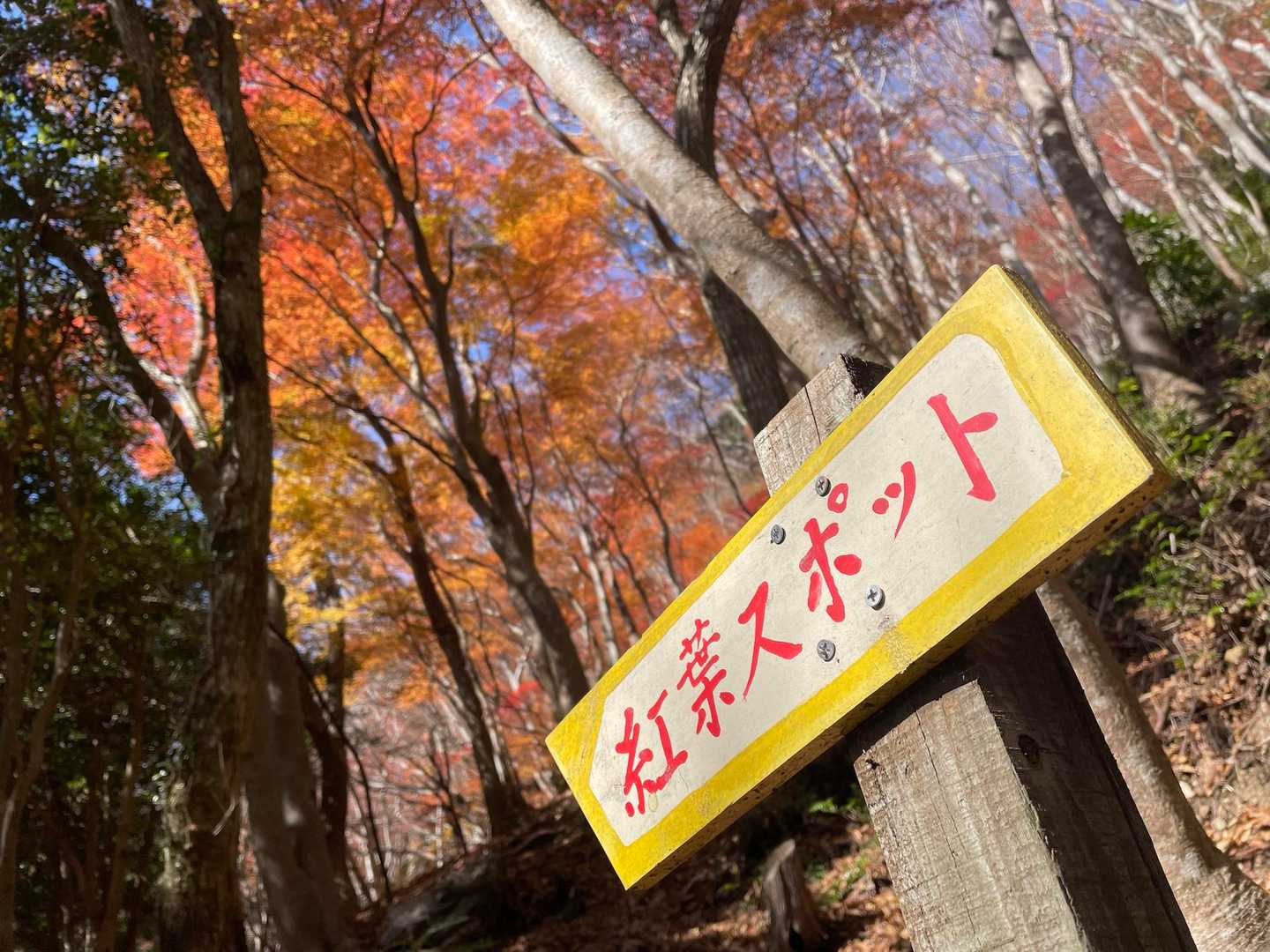阿曽浅間山-網掛山-大理石石灰採石跡 往復コースの写真