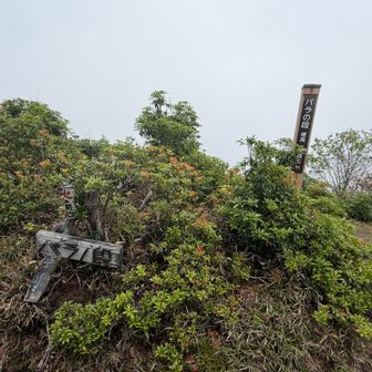 バラの段、1,647m。
