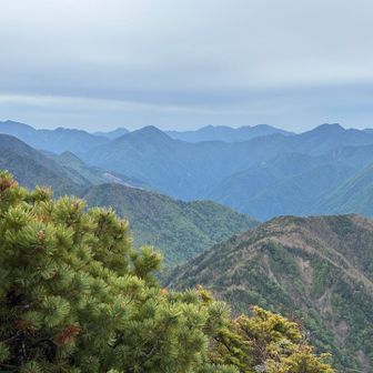 大根沢山と信濃俣に挟まれて黒法師〜不動岳